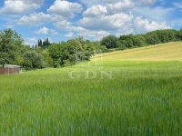 Verkauf wohngrundstück Boncodfölde, 1253m2