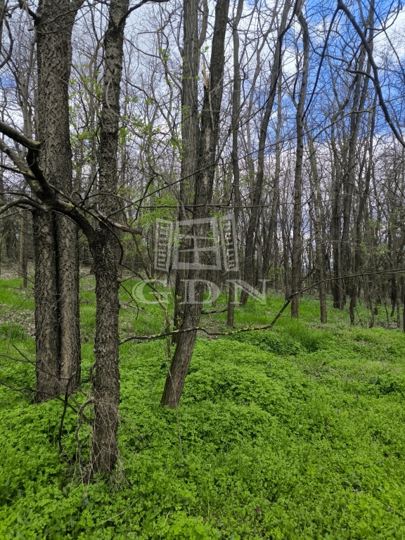 Vânzare Pócsmegyer Zona agricola