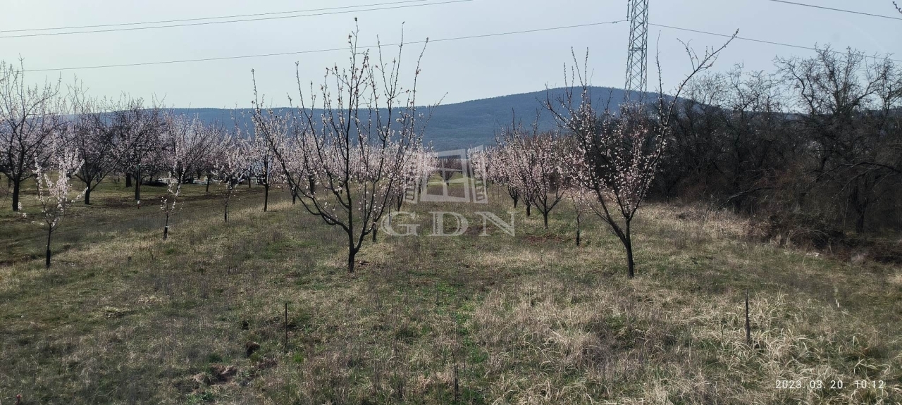 Vânzare Pomáz Zona agricola