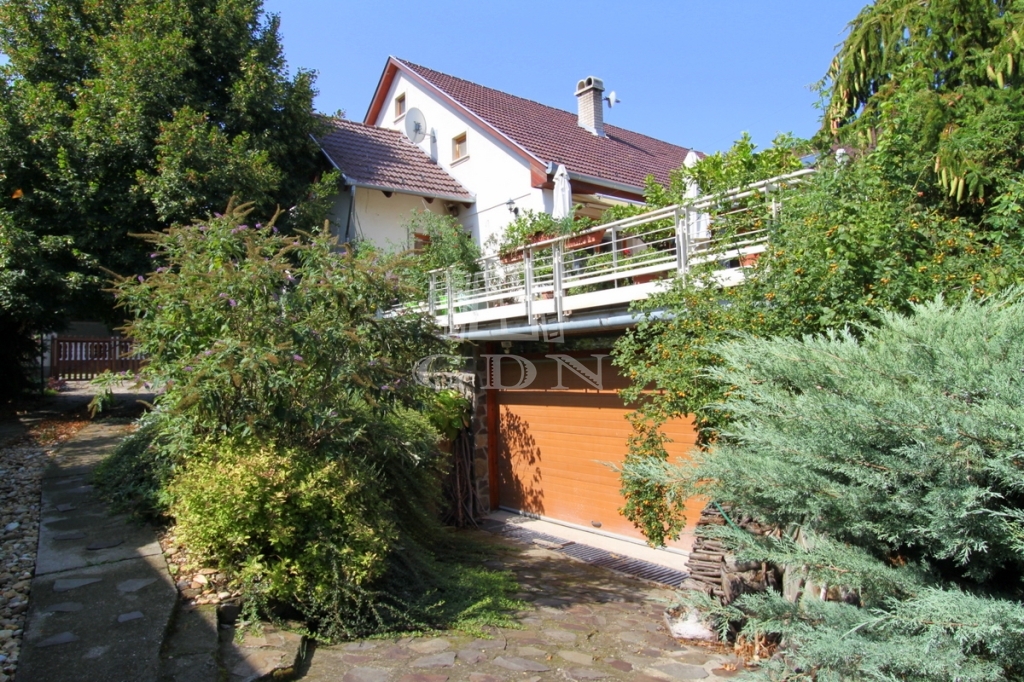 For sale Pázmánd Family House