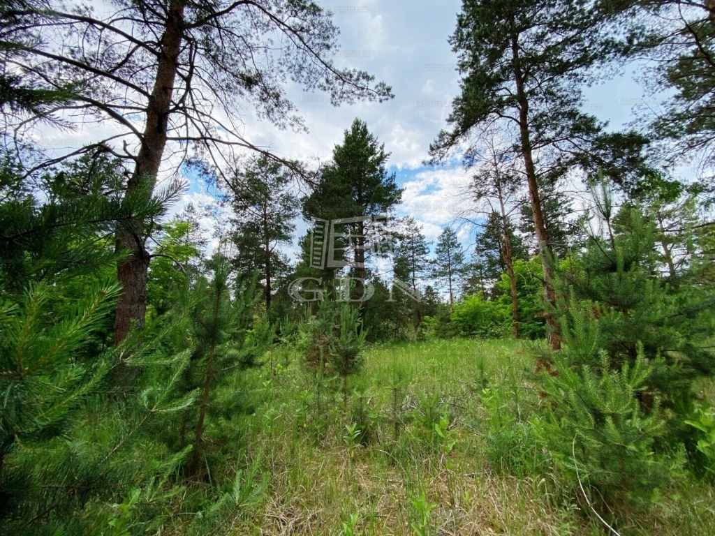 出卖 Kecskemét 土地