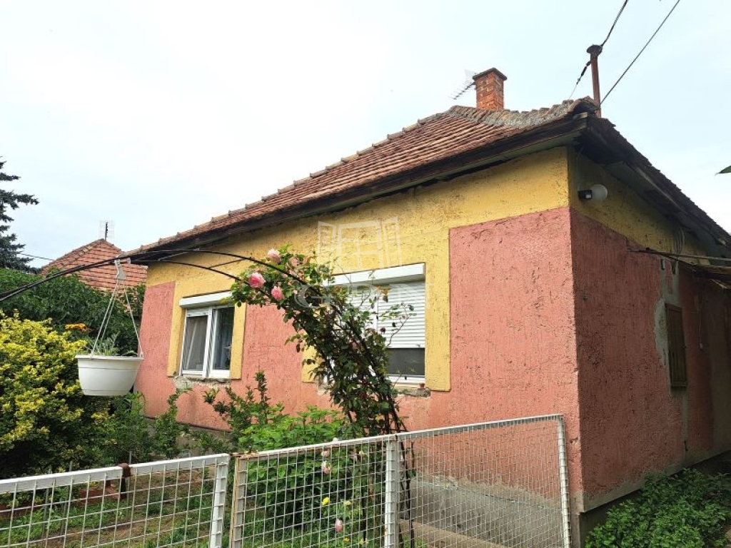 For sale Szigethalom Family House